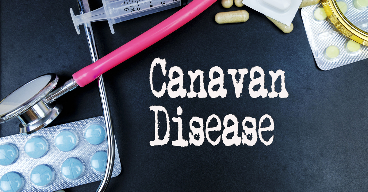 ما هو داء كانافان , ماذا تعرف عن Canavan’s disease