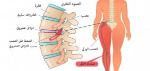 نبض عرق في القدم